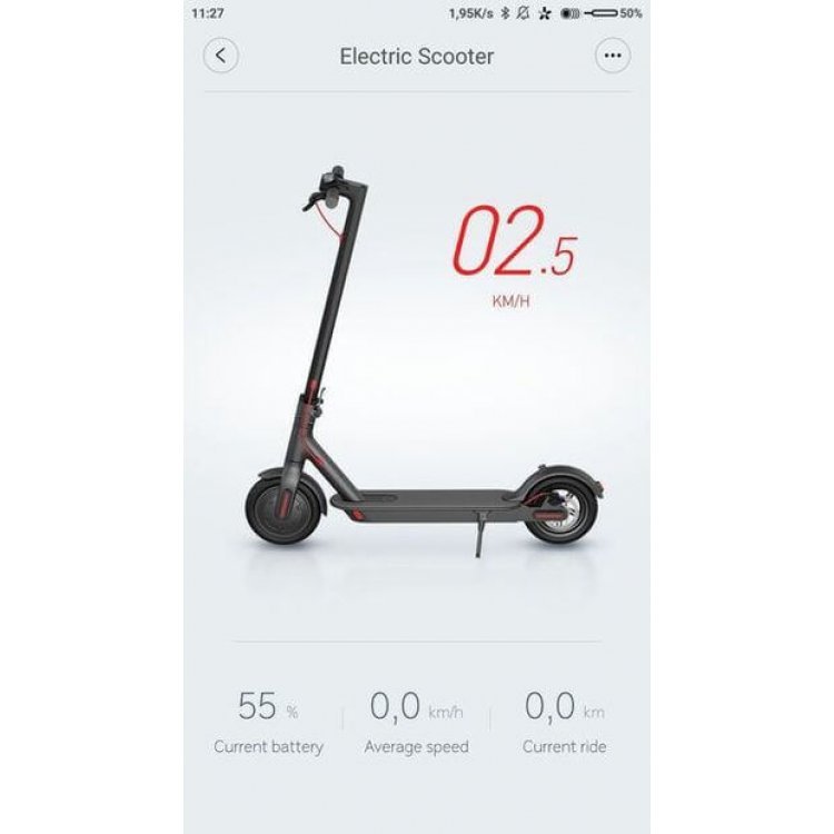 Electric scooter sale 2019